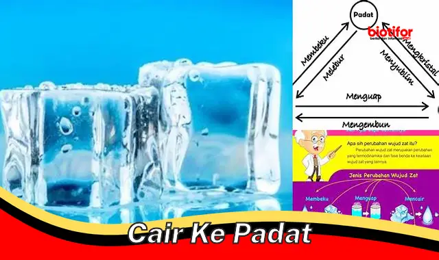 cair ke padat cair ke padat