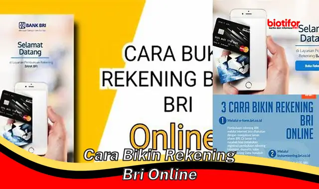 Mudah dan Aman: Cara Bikin Rekening BRI Online