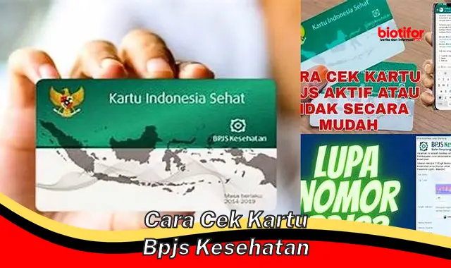 Cara Mudah dan Cepat Cek Kartu BPJS Kesehatan untuk Jaminan Kesehatan Anda