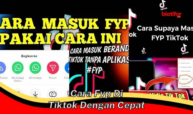 cara fyp di tiktok dengan cepat cara fyp di tiktok dengan cepat
