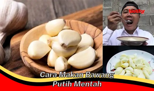 cara makan bawang putih mentah cara makan bawang putih mentah