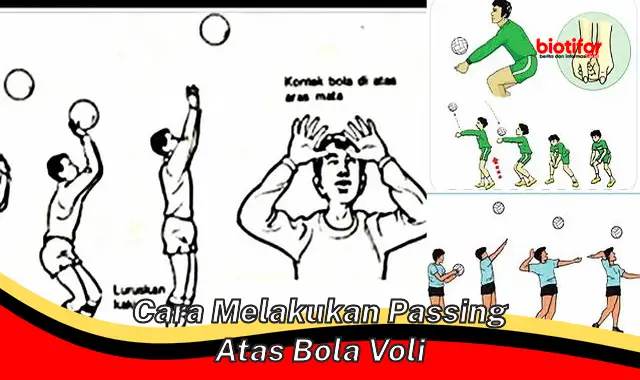 Panduan Lengkap: Cara Jitu Melakukan Passing Atas Bola Voli