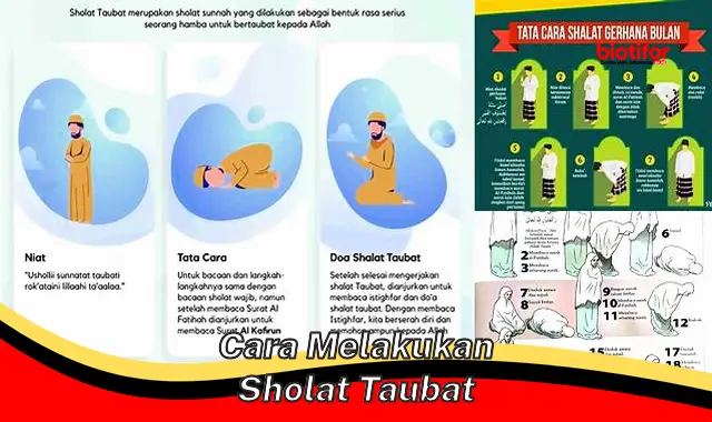 Panduan Lengkap Cara Melakukan Sholat Taubat yang Benar