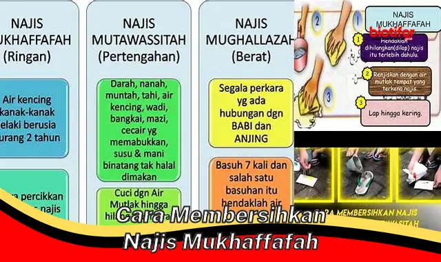 Panduan Lengkap Cara Membersihkan Najis Mukhaffafah