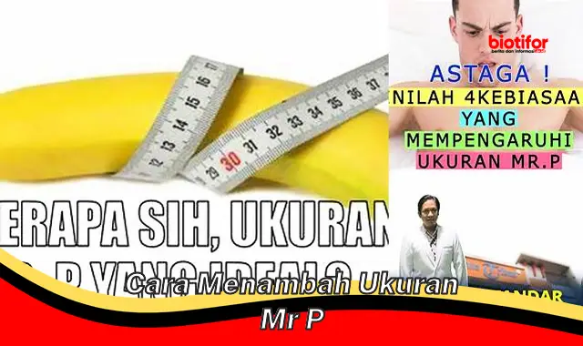 cara menambah ukuran mr p cara menambah ukuran mr p
