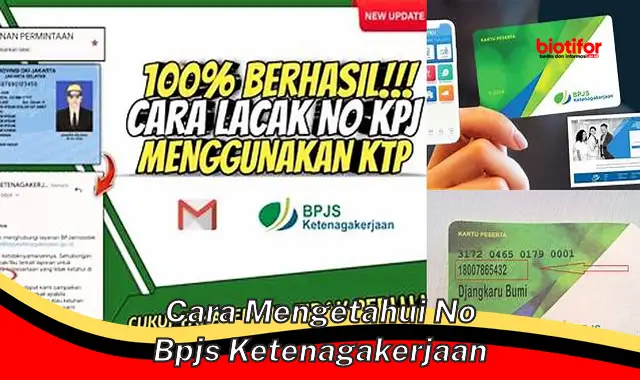 Cara Mudah dan Cepat Cek Nomor BPJS Ketenagakerjaan Anda