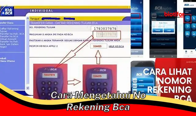 cara mengetahui no rekening bca cara mengetahui no rekening bca