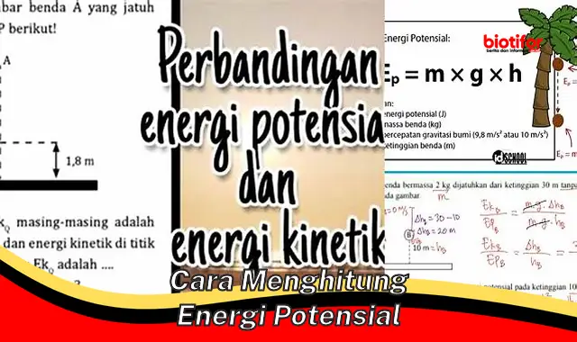 Cara Akurat Hitung Energi Potensial: Panduan Lengkap