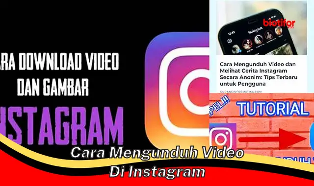 cara mengunduh video di instagram cara mengunduh video di instagram