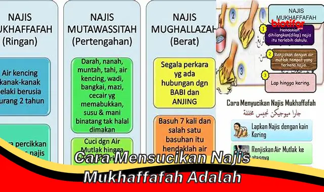 cara mensucikan najis mukhaffafah adalah cara mensucikan najis mukhaffafah adalah