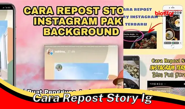 Panduan Lengkap: Cara Repost Story IG untuk Tingkatkan Engagement