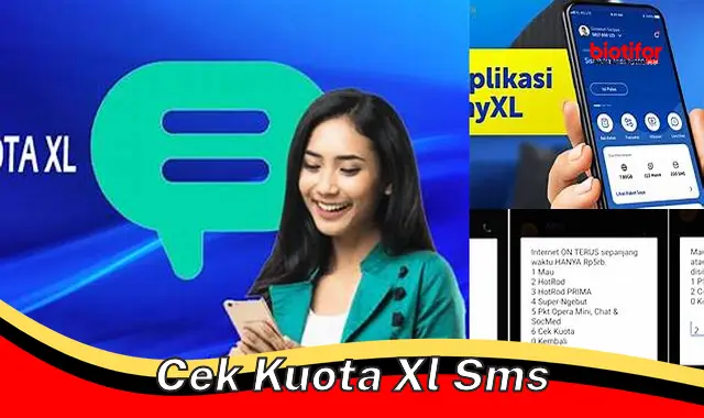 Cek Kuota SMS XL Mudah dan Cepat, Anti Ribet!