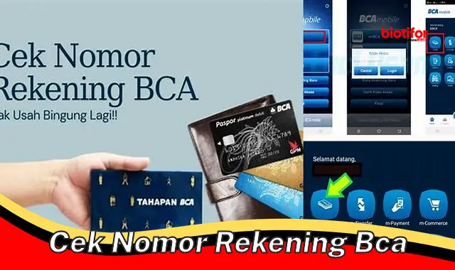 Mudah Cek Nomor Rekening BCA, Transaksi Aman dan Nyaman