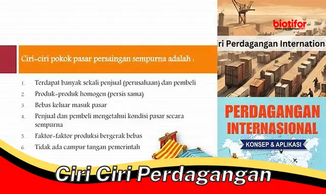 Pahami Ciri-Ciri Penting Perdagangan untuk Kemajuan Ekonomi