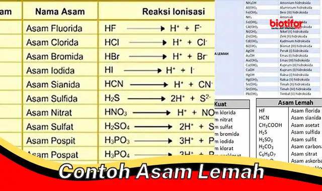 Mengenal Contoh Asam Lemah: Sifat dan Kegunaannya