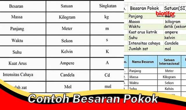 Contoh Lengkap Besaran Pokok: Pengertian, Jenis, dan Manfaat