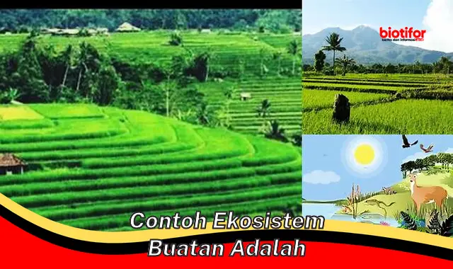 contoh ekosistem buatan adalah contoh ekosistem buatan adalah