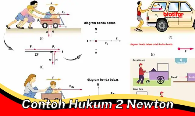 contoh hukum 2 newton contoh hukum 2 newton