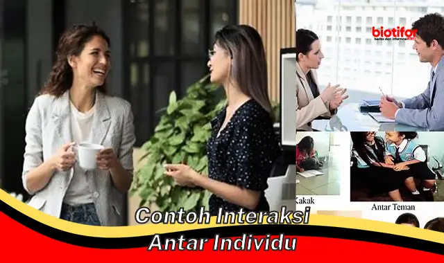 contoh interaksi antar individu contoh interaksi antar individu
