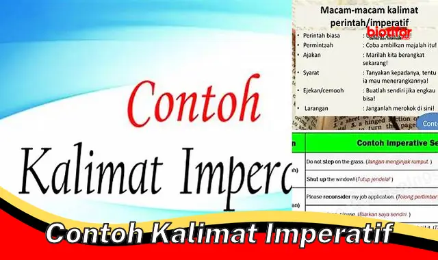 contoh kalimat imperatif contoh kalimat imperatif