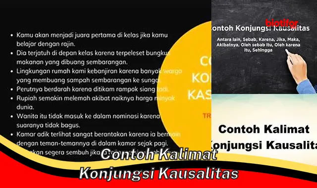 Contoh Kalimat Konjungsi Kausalitas Terbaik untuk Penulisan yang Jelas dan Logis