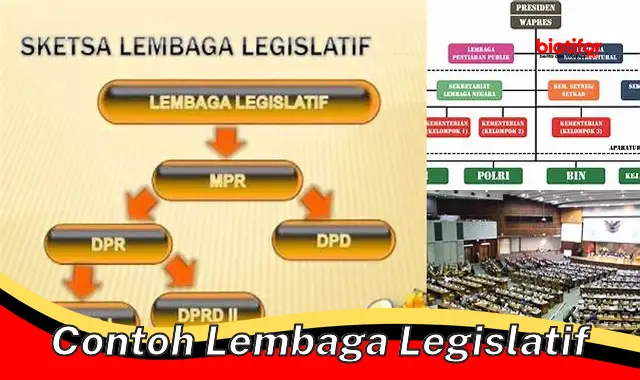 contoh lembaga legislatif contoh lembaga legislatif