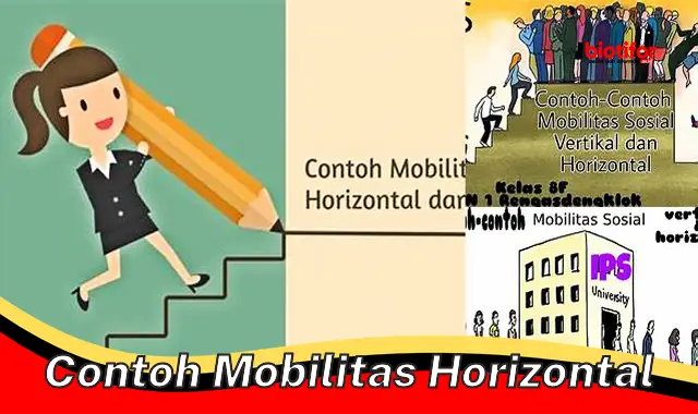 contoh mobilitas horizontal contoh mobilitas horizontal