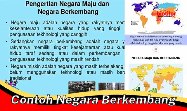 Lebih Dekat dengan Contoh Negara Berkembang