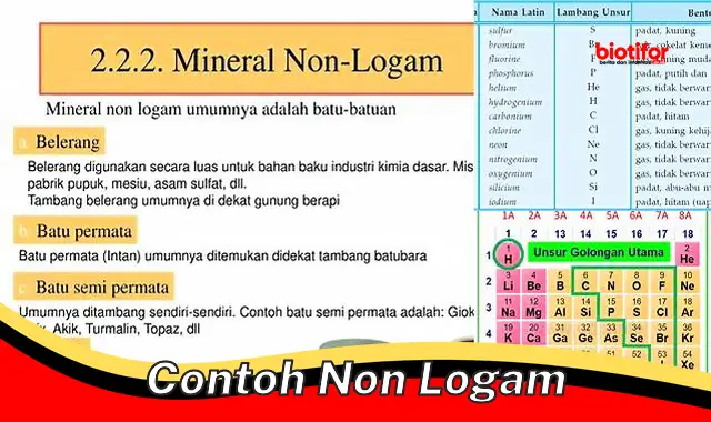 contoh non logam contoh non logam