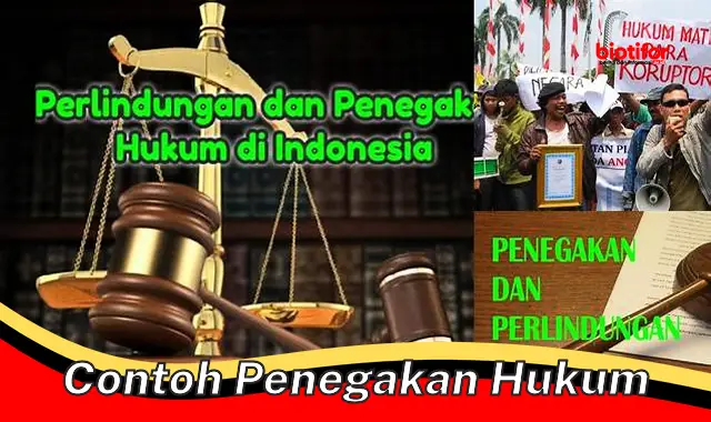 9 Contoh Penegakan Hukum yang Penting untuk Diketahui