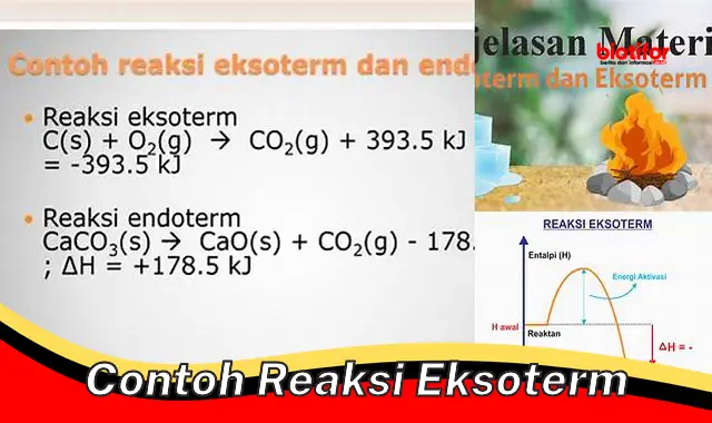 contoh reaksi eksoterm contoh reaksi eksoterm