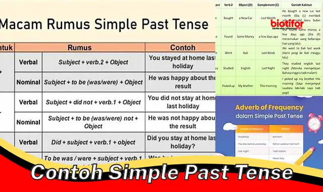 Panduan Lengkap Contoh Simple Past Tense: Kuasai Bahasa Inggris dengan Tepat