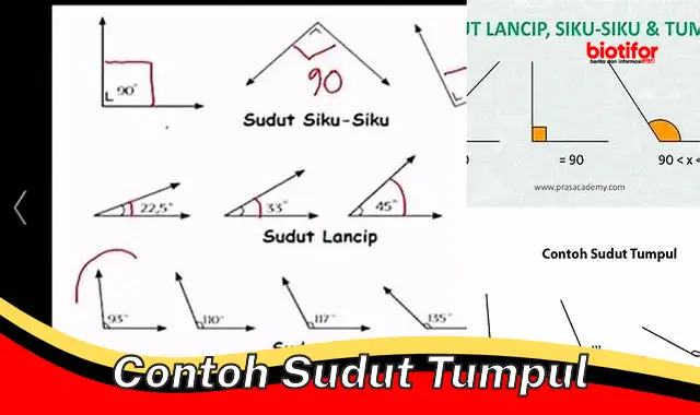 Pahami Contoh Sudut Tumpul dalam Kehidupan Sehari-hari