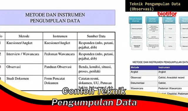 contoh teknik pengumpulan data contoh teknik pengumpulan data