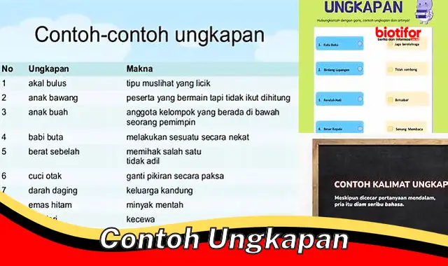 Contoh Ungkapan: Panduan Lengkap untuk Enrich Bahasa Indonesia Anda