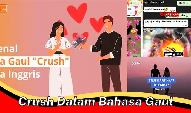 crush dalam bahasa gaul crush dalam bahasa gaul