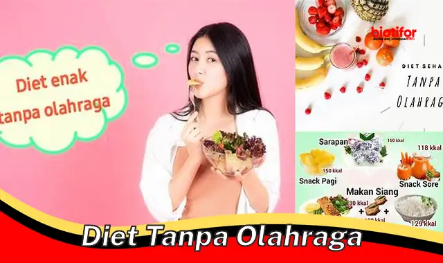 Diet Sehat Tanpa Olahraga: Turunkan Berat Badan Tanpa Repot!