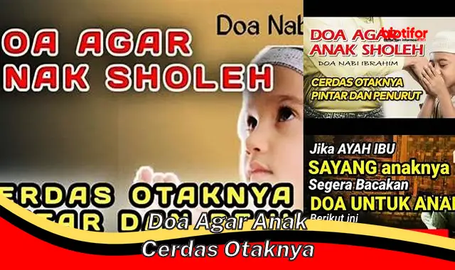 doa agar anak cerdas otaknya doa agar anak cerdas otaknya