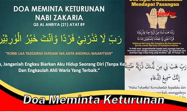doa meminta keturunan doa meminta keturunan