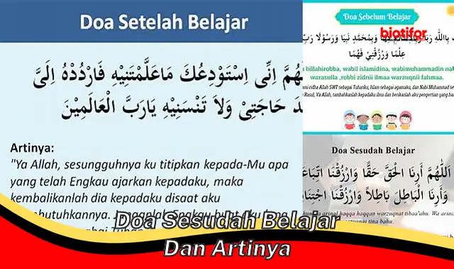 Rahasia Mendapatkan Ilmu yang Berkah: Amalkan Doa Sesudah Belajar