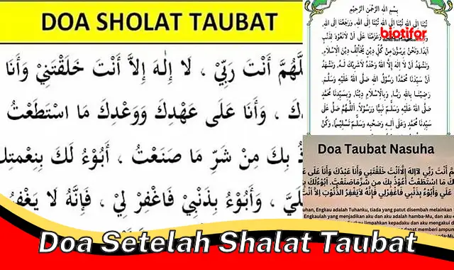 Doa Dahsyat Setelah Shalat Taubat: Ampunan dan Ketenangan Seketika