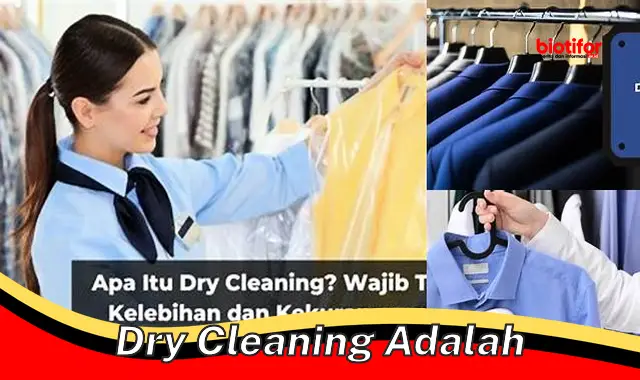 Yang Perlu Diketahui dan Pentingnya Dry Cleaning