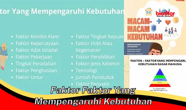 Pahami Faktor-Faktor yang Mempengaruhi Kebutuhan untuk Pemenuhan Optimal