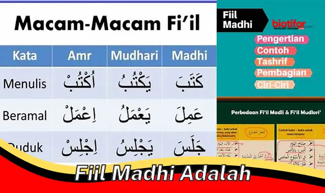 fiil madhi adalah fiil madhi adalah