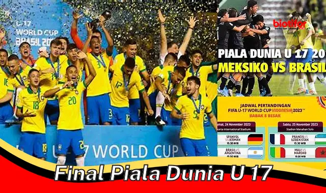 final piala dunia u 17 final piala dunia u 17