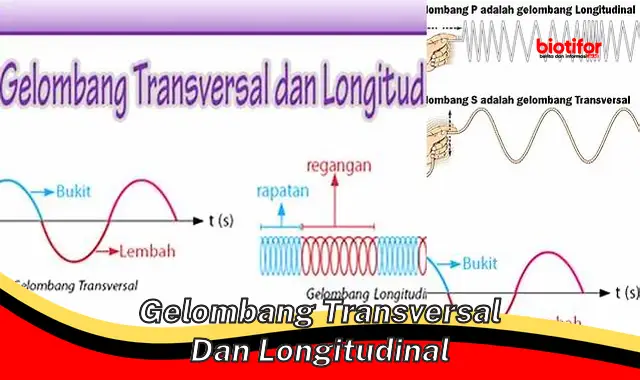 Panduan Lengkap: Gelombang Transversal dan Longitudinal