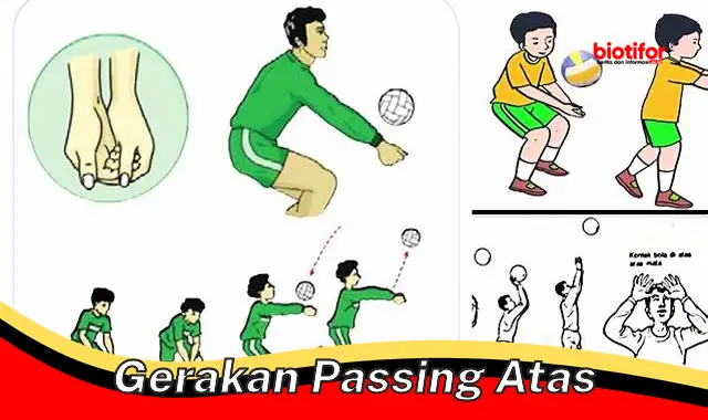 Teknik Dasar Passing Atas: Kunci Kemenangan dalam Bola Voli