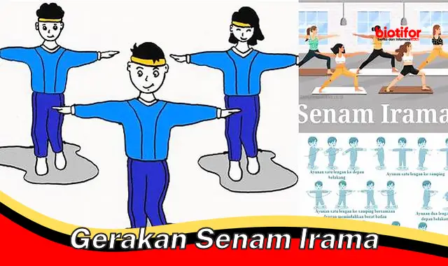 Rahasia Gerakan Senam Irama untuk Kebugaran Prima