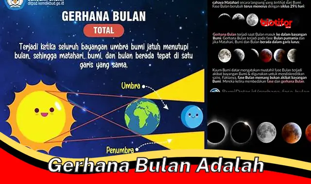 Semua Hal Tentang Gerhana Bulan: Panduan Lengkap