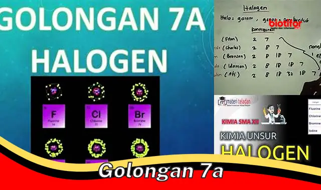 Memahami Golongan 7A: Halogen dan Sifat Reaktifnya